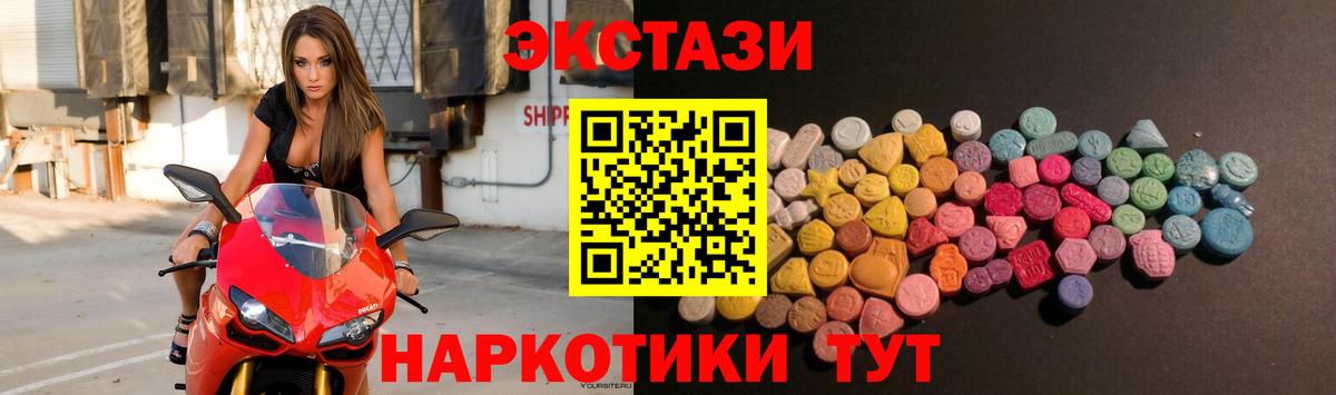Ecstasy бентли Камышин