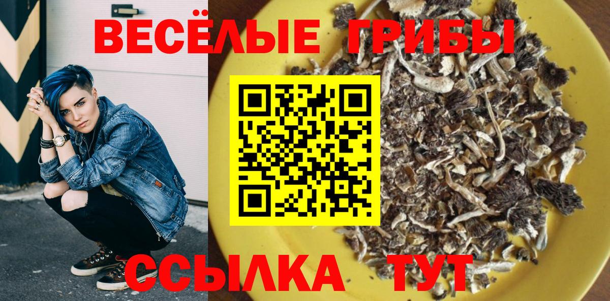 Псилоцибиновые грибы Magic Shrooms Камышин