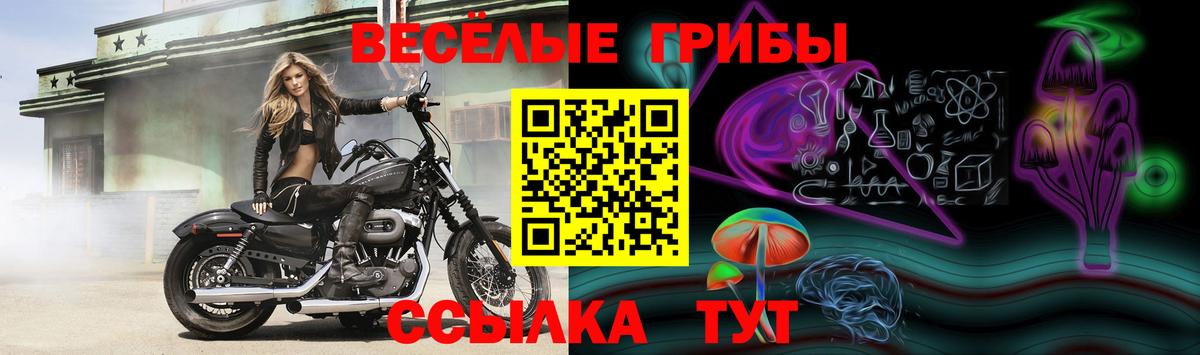 Псилоцибиновые грибы Psilocybine cubensis  наркотики  Камышин  Галлюциногенные грибы Psilocybine cubensis  Вход с VPN 