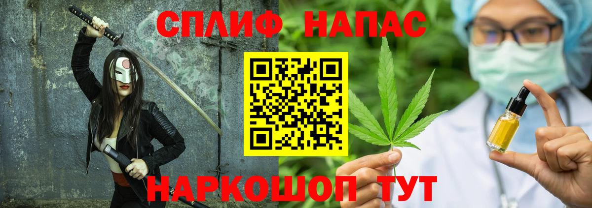 Конопля сатива Камышин